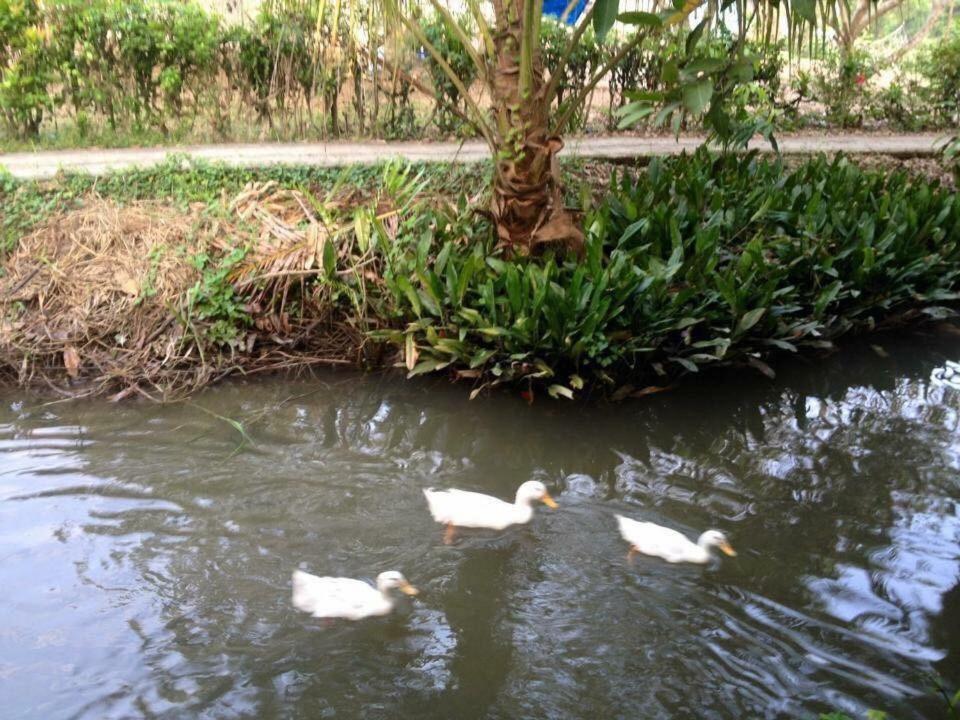Nam Thanh Homestay Vĩnh Long Екстериор снимка