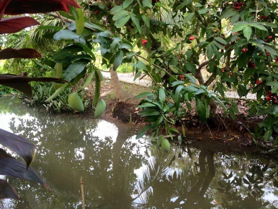 Nam Thanh Homestay Vĩnh Long Екстериор снимка